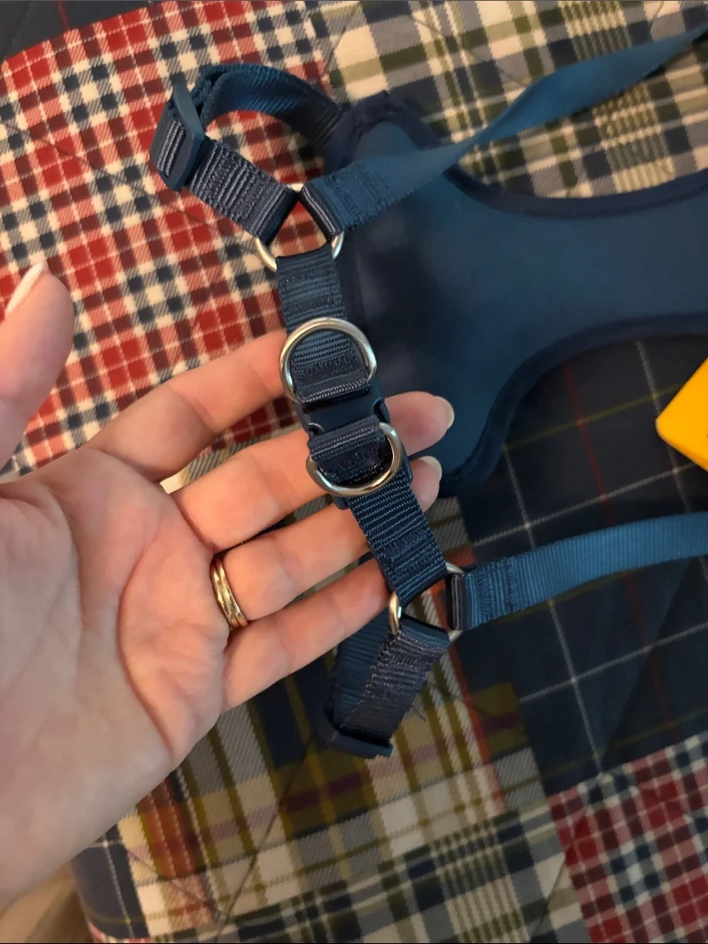 Navy Step-In Dog Harness - Medium